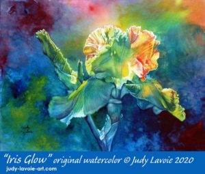 "Iris Glow" original watercolor on paper © Judy Lavoie