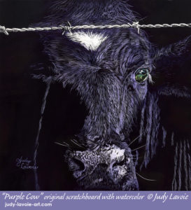 "Purple Cow" original painting on #Scratchbord © Judy Lavoie 2019