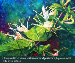 "Honeysuckle" original watercolor © Judy Lavoie 2020