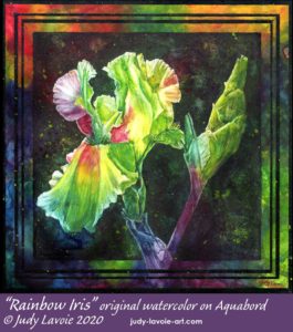 "Rainbow Iris," an original watercolor on Aquabord © Judy Lavoie